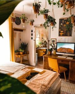 colorful succulents in bedroom