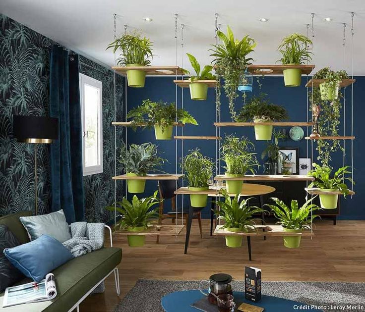 A dorm with a hanging plants to create some personal space