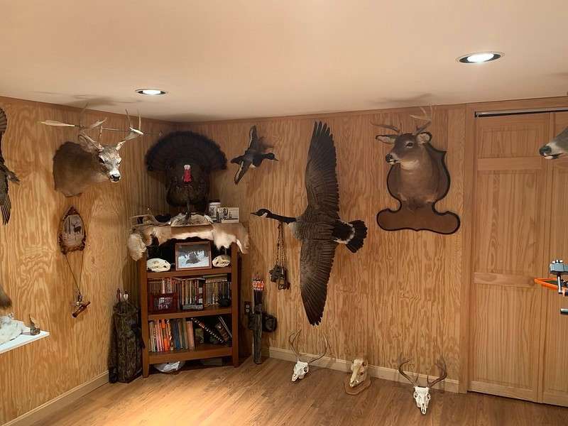 Dark wooden cabinet with books placed inside it for the hunting room