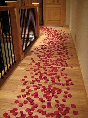 A rose petal trail on a wooden floor