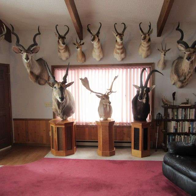 Three wooden pedestal display unit for the hunting room