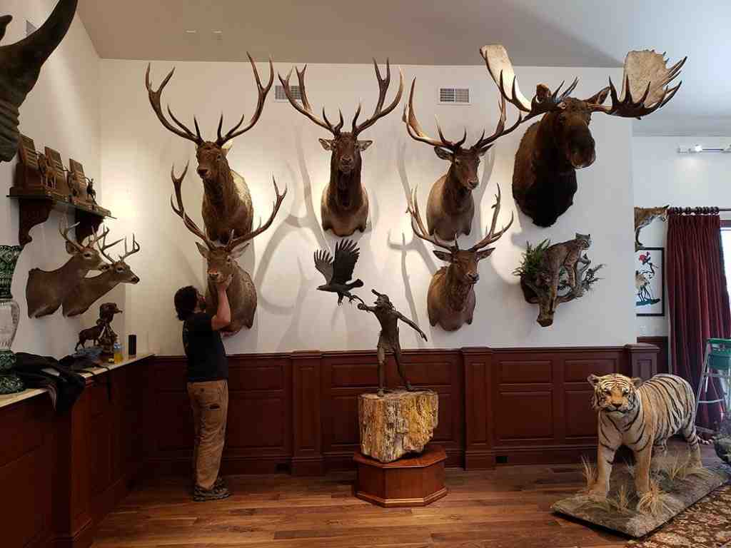 Two toned wall with wooden panelling and cream paint and animal hunt hanging on it
