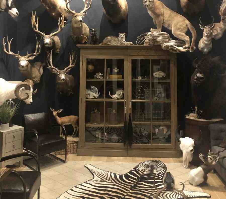 Wooden cabinet to store precious items in it for the hunting room