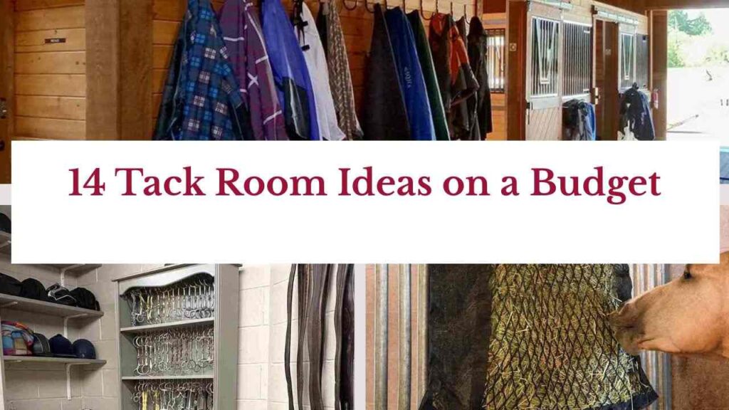 14 Tack Room Ideas on a Budget