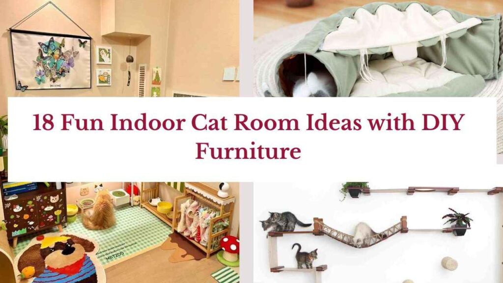 18 Fun Indoor Cat Room Ideas with DIY Furniture