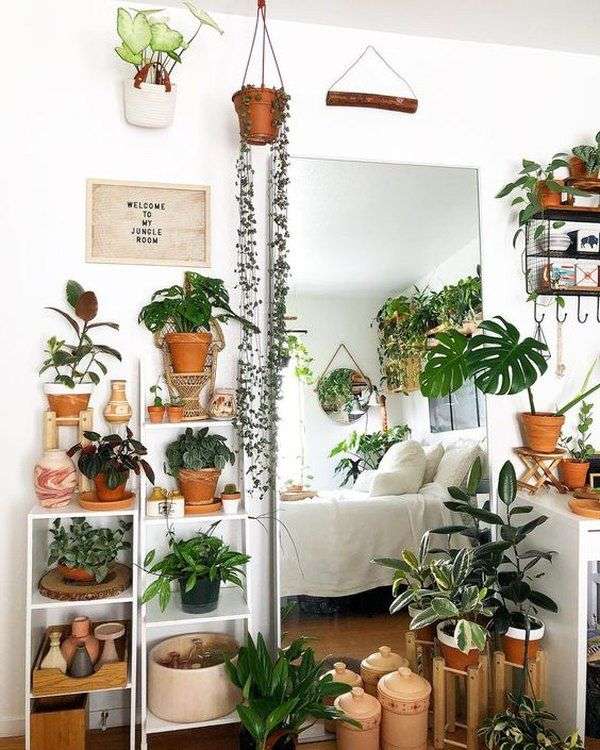 A floor mirror and plant around it hanging from ceiling and on cabinet