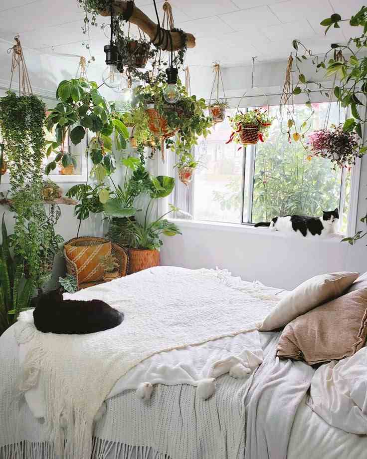 White wall and plants hanging from ceiling and a bed