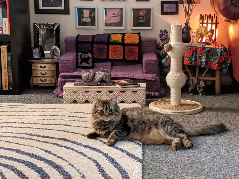 Cat laying on rug and a mini crocheted sofa behind it