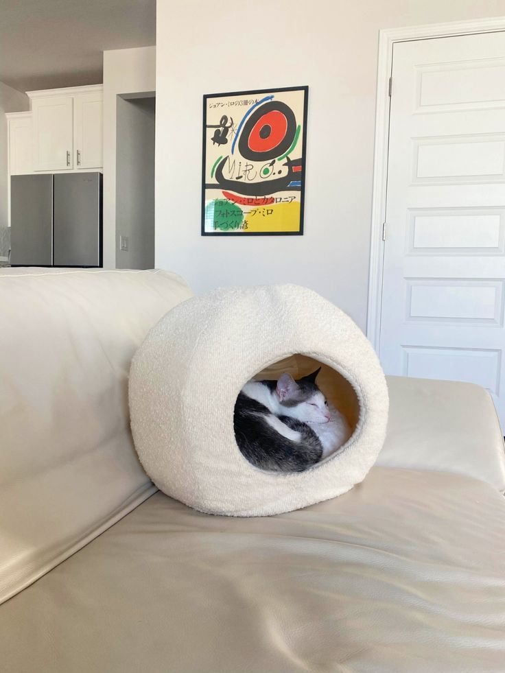 Cozy catnapping in the coziest cat cave bed
