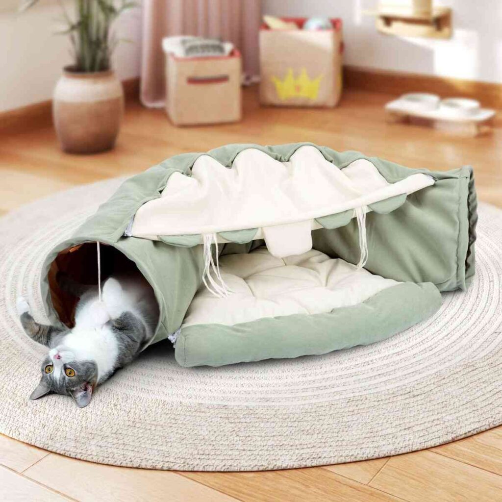 Mint green color cat tunnel toy and a space for it to sit