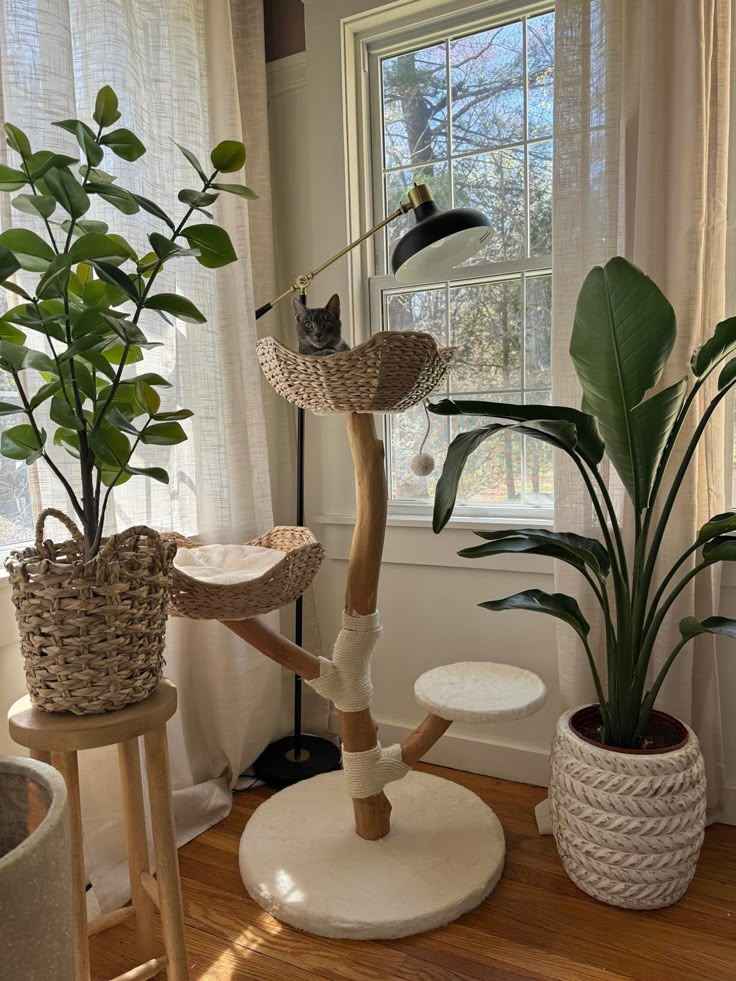 Real Wood Modern Cat Tree Tower for cat