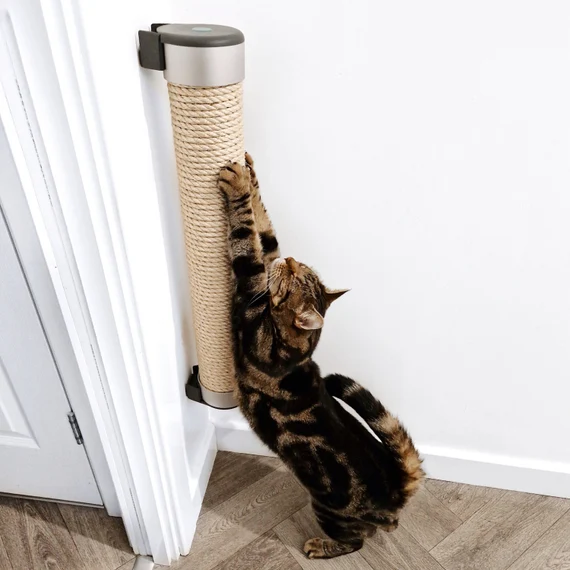 Wall mounted scratching pads in round shape for cats