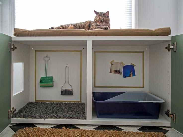 White cabinet with litter area for cat