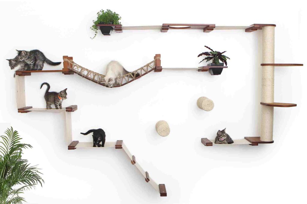 White wall and a play area for the cat