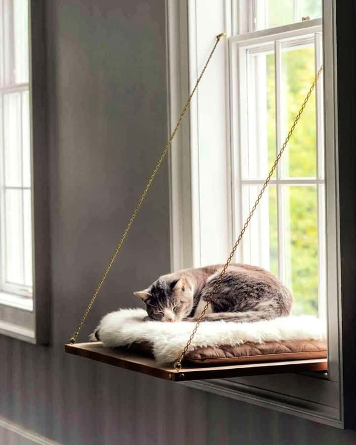 White window frame and and a wooden perch for the cat