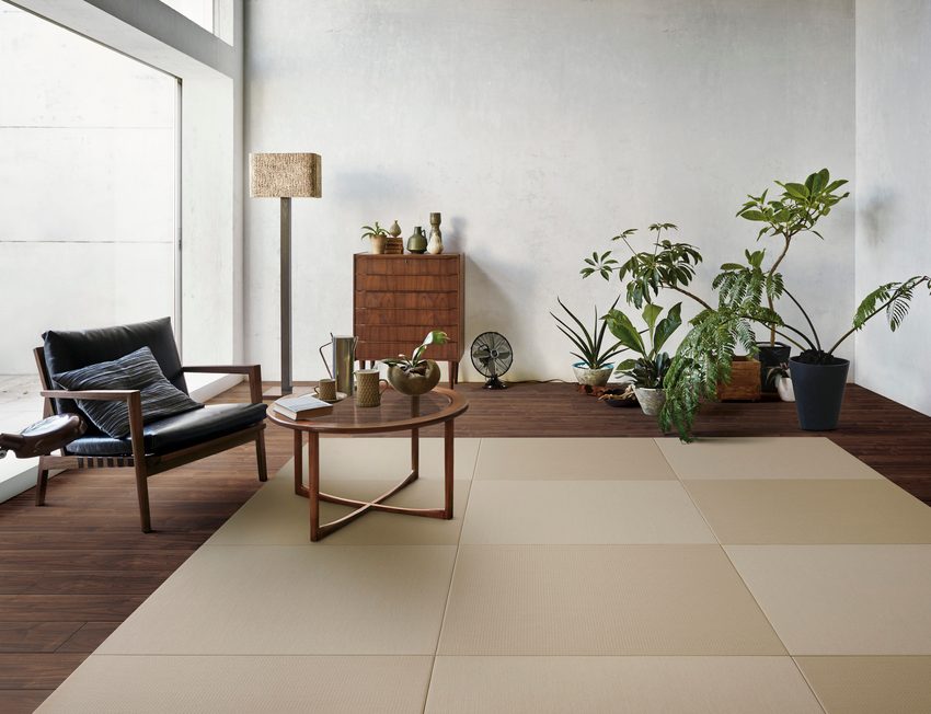 Wooden chair and a coffee table with tatami mats and some plants in room
