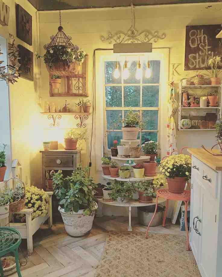 Plants under the yellow light on stands for the green house 