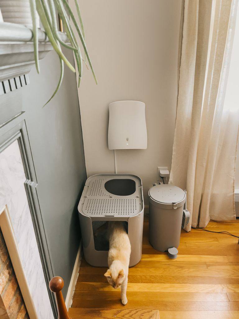 feeding station of cat and a air purifier on wall