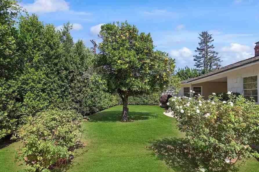 Backyard of Adam Sandler House