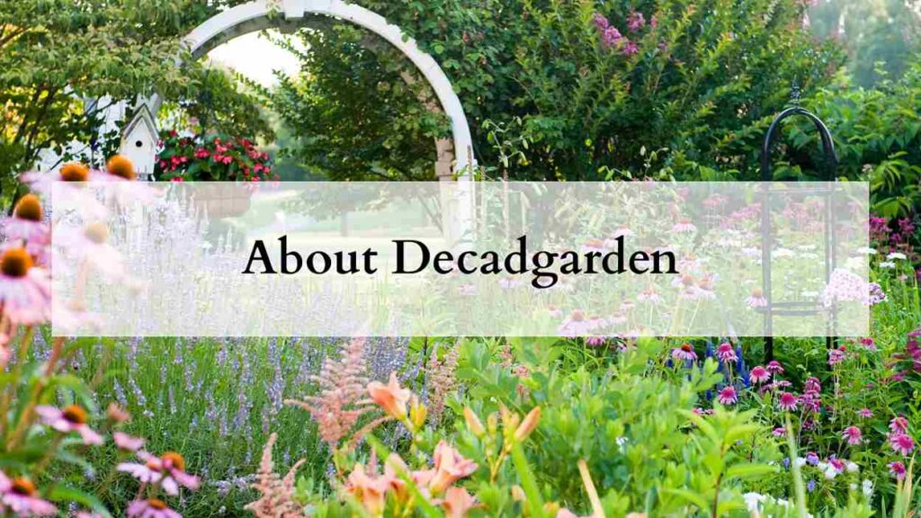 About Decadgarden
