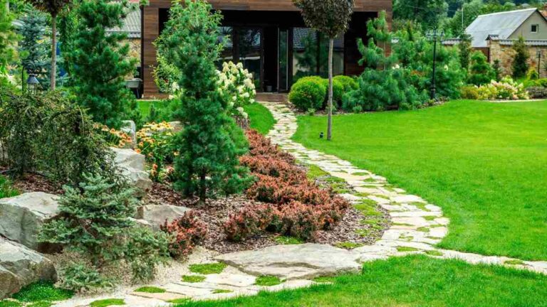 Yard Guide Decadgarden: Tips To Upgrade Your Outdoor Space Yard Guide Decadgarden featured image