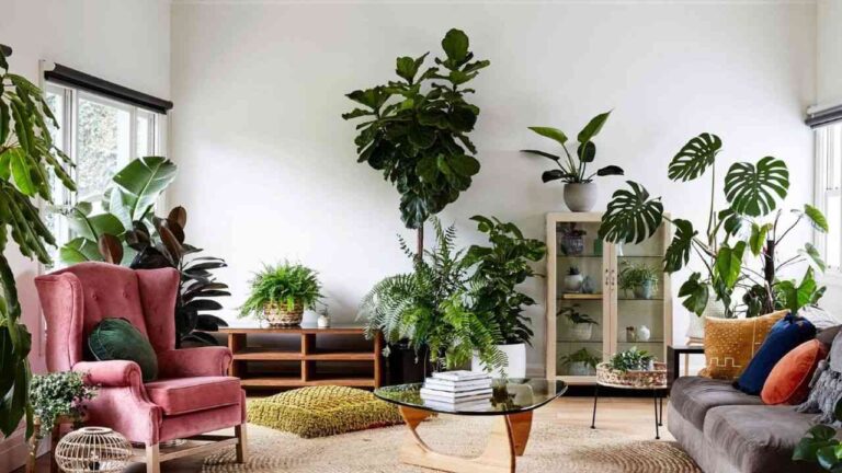 4 Common Air Problems Avoid Myinteriorpalace and How to Fix Them 4 Common Air Problems Avoid Myinteriorpalace featured image