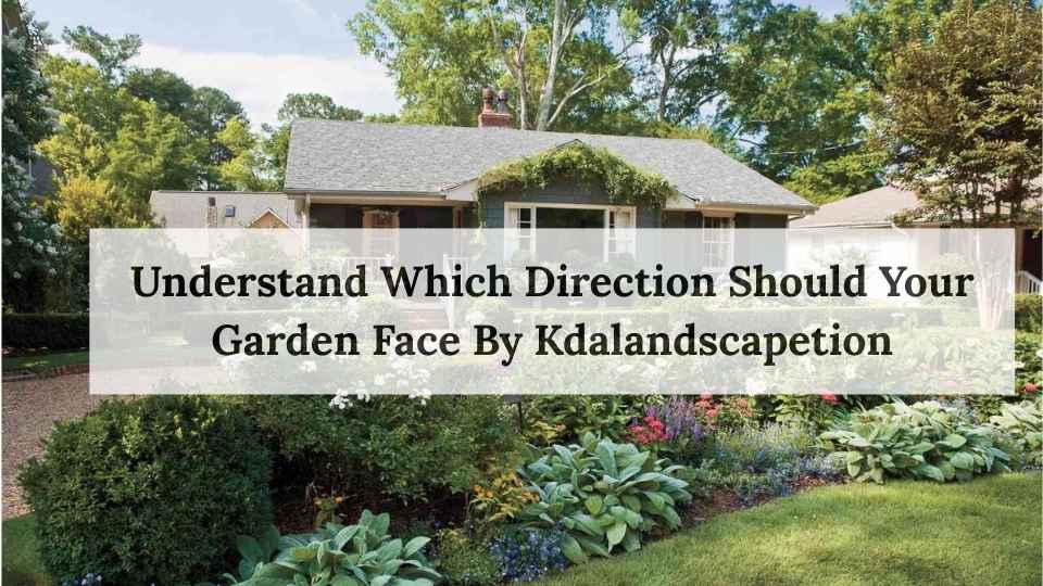Understand Which Direction Should Your Garden Face By Kdalandscapetion