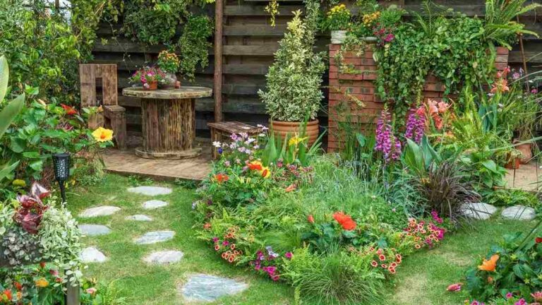 Which Direction Should Your Garden Face Kdalandscapetion: Why Does Direction Matters? Which Direction Should Your Garden Face Kdalandscapetion Featured Image