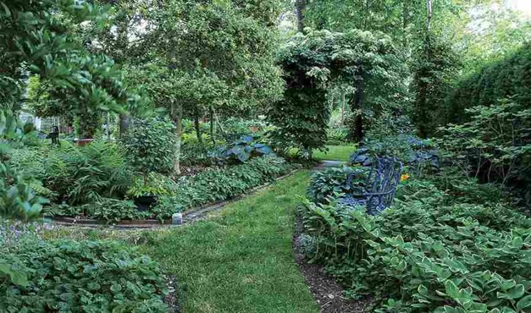 the-garden-is-characterized-by-botanical-layers-including-large-trees-dense-shrubs-and-ground-level-plants